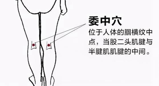 888集团电子游戏科技